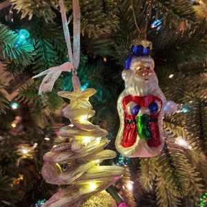 Meet your Posher, Robin